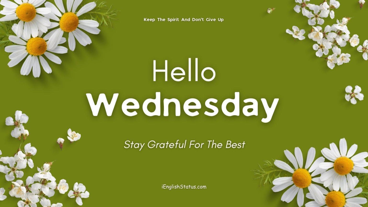 Wednesday Quotes